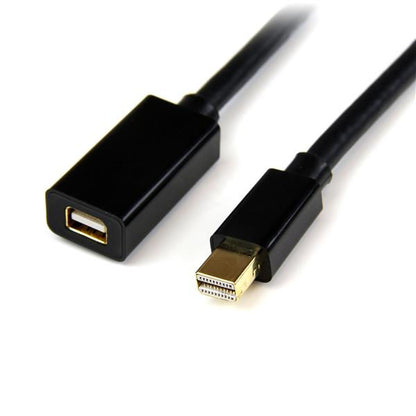 StarTech.com 6ft Mini DP Extension Cable 4K MF - NWT FM SOLUTIONS - YOUR CATERING WHOLESALER