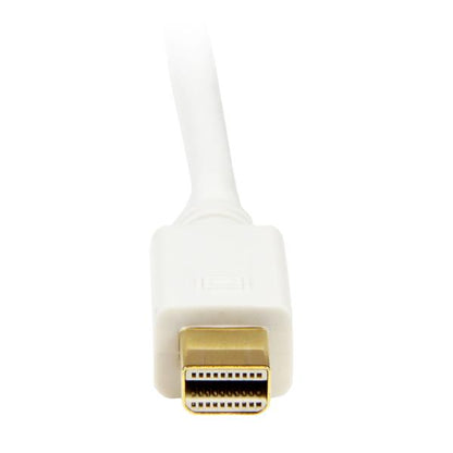 StarTech.com 10 ft Mini DP to DVI Adapter Cable White